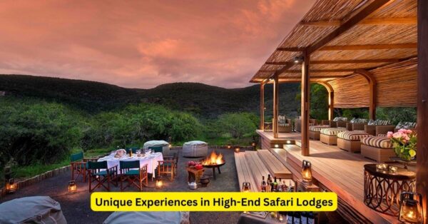 Unique Experiences in High-End Safari Lodges